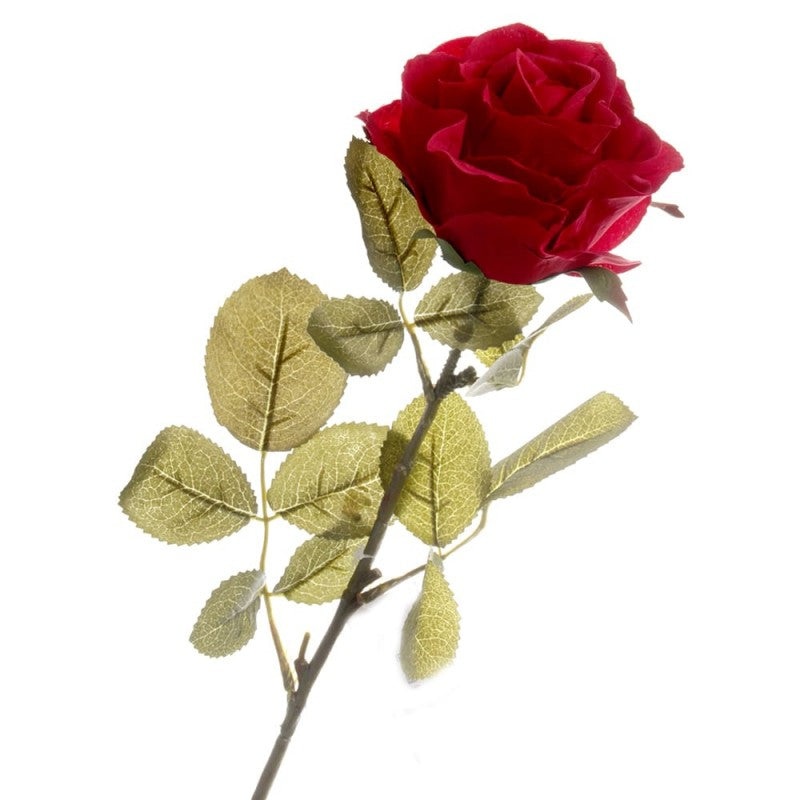 Rose – Red – 70cm long