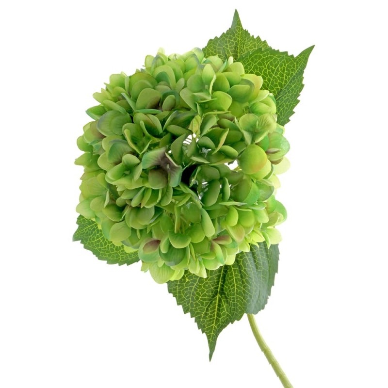 Single Hydrangea Flower Stem – Green – 19cm Diameter, 82cm Length