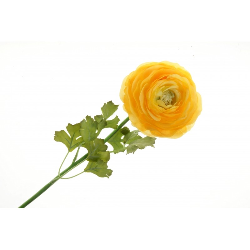 Single Stem Ranunculus Flower – 60cm long – Yellow