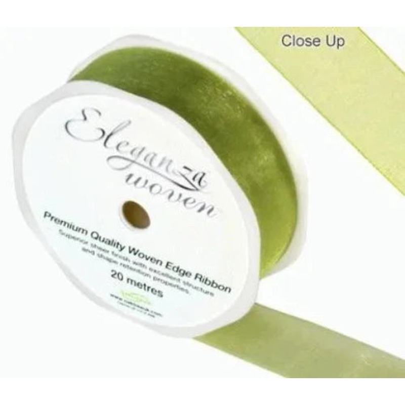 25mm Woven Edge Ribbon – Pistachio