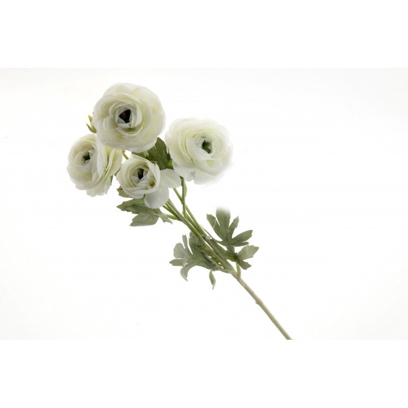 6 Head Mini Ranunculus Stem – 67cm long – Cream/Ivory