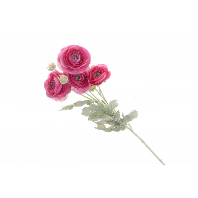 6 Head Mini Ranunculus Stem –  67cm long – Hot Pink