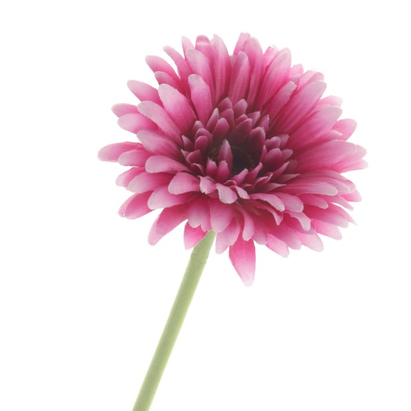 Single Gerbera Flower Stem x 60cm – Purple