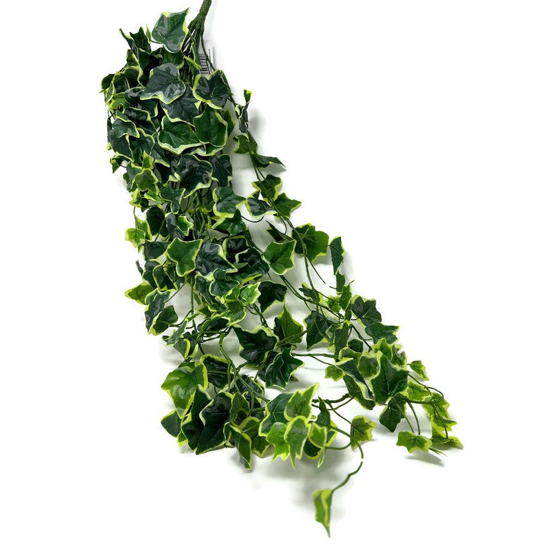Trailing Ivy Leaves x 120cm – Variegated Green