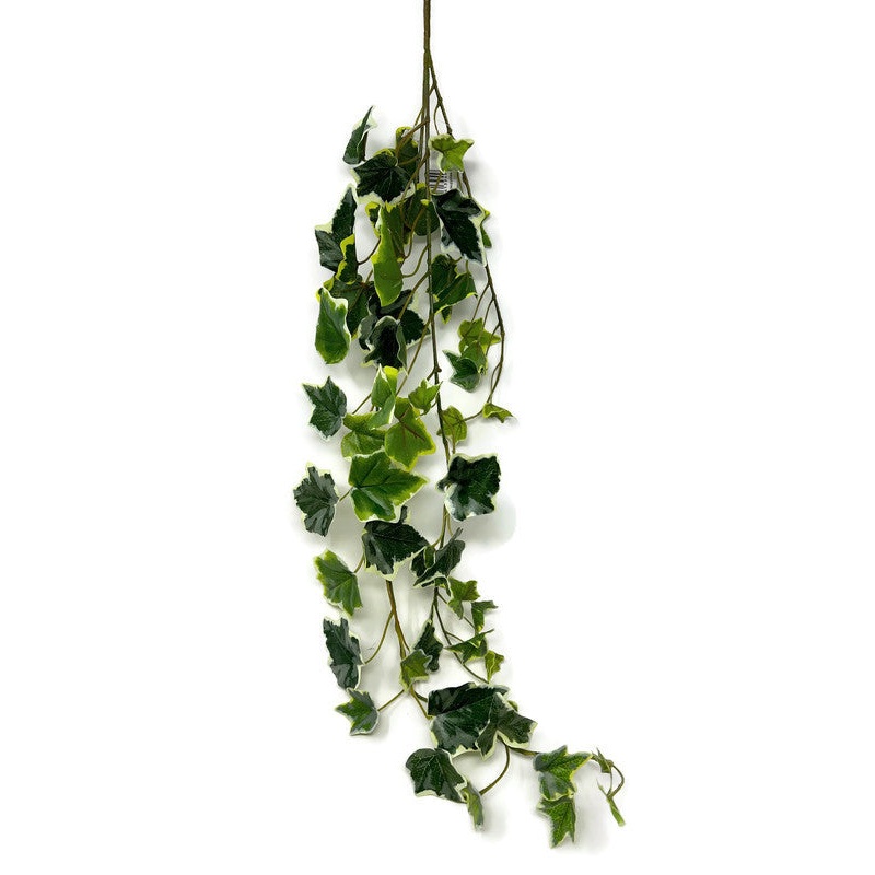 Trailing Ivy Leaves x 70cm – Variegated Green