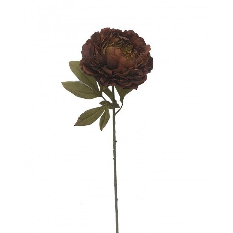 16cm Diameter Single Stem Peony Flower x 78cm long – Deep Brown