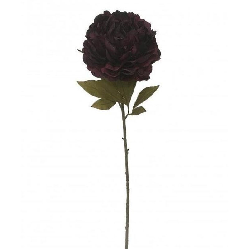 16cm Diameter Single Stem Peony Flower x 78cm long – Deep Purple