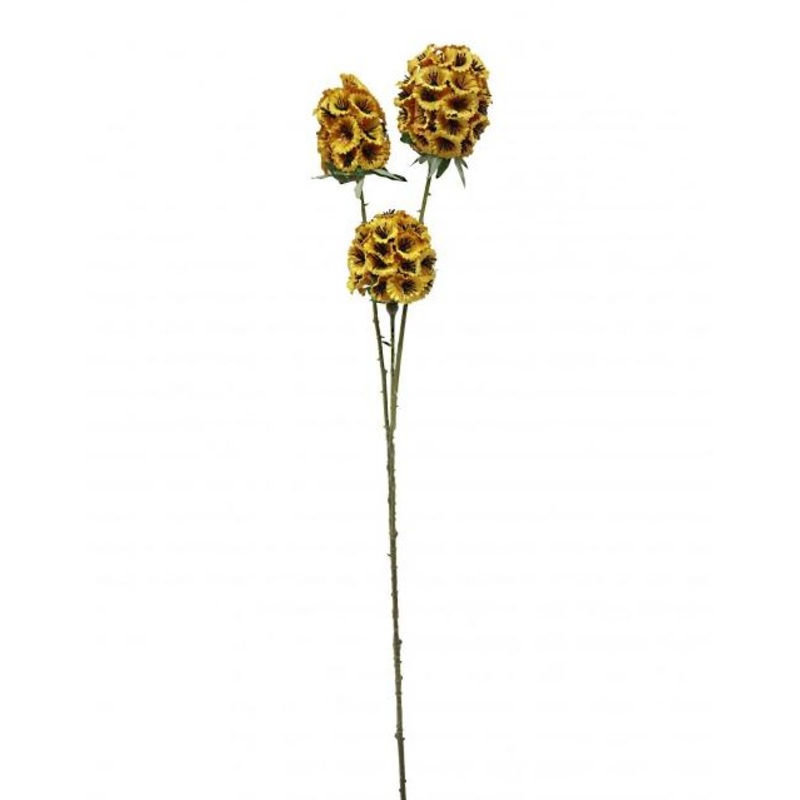 3 Head Artificial Scabiosa Stellata x 71cm long – Yellow