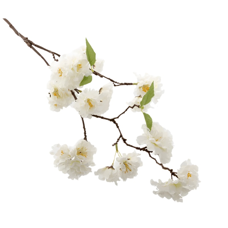 Cherry Blossom Spray x 75cm long – Cream
