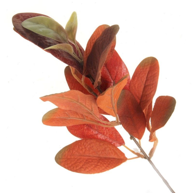 Ficus Callosa Spray – Orange – 35cm long