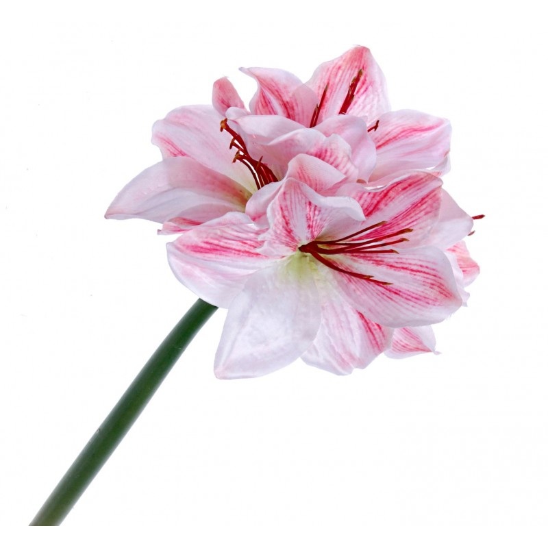 Single Amaryllis Flower – White/Pink – 40cm long