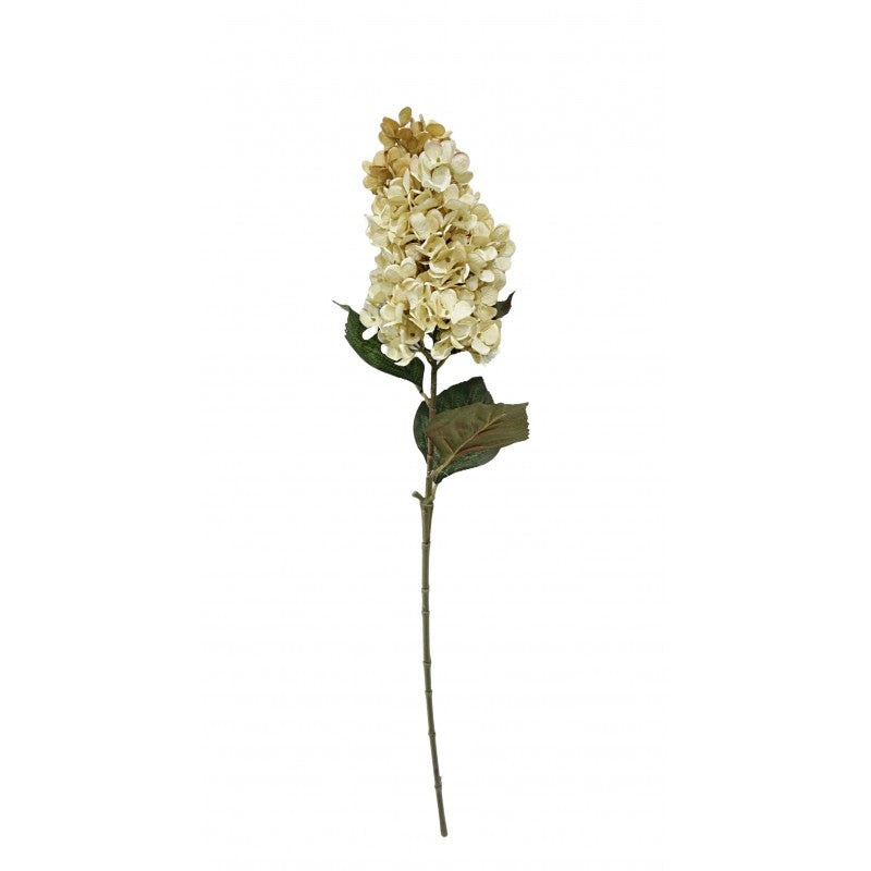 Artificial Panicled Hydrangea Stem x 75cm – Cream/Beige