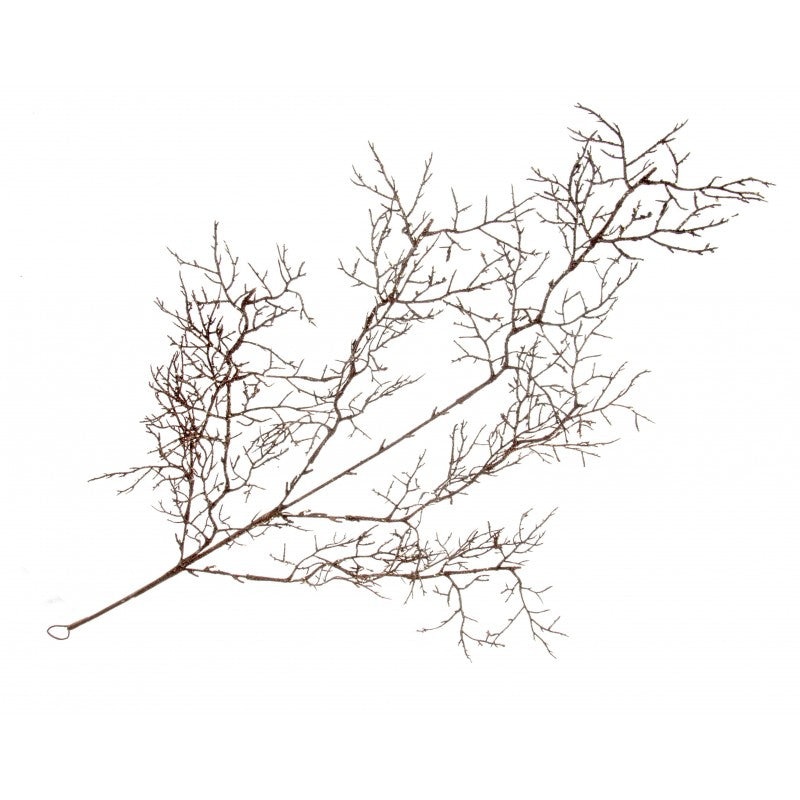 Glittered Twig Spray – Brown – 88cm long