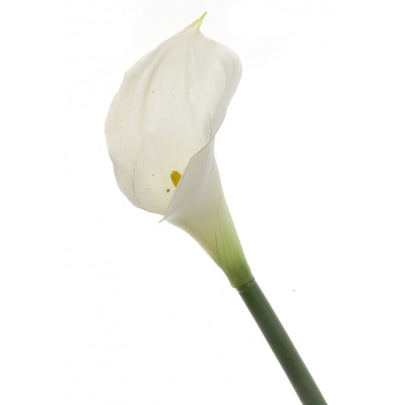Real Touch Calla Lily x 68cm – White/Cream