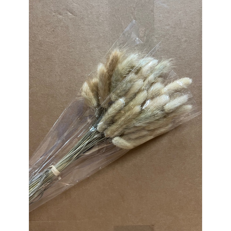 Dried Bunny Tail Grass Bunch x 45cm – Natural