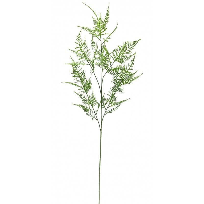 Single Asparagus Fern Spray – Green x 107cm long