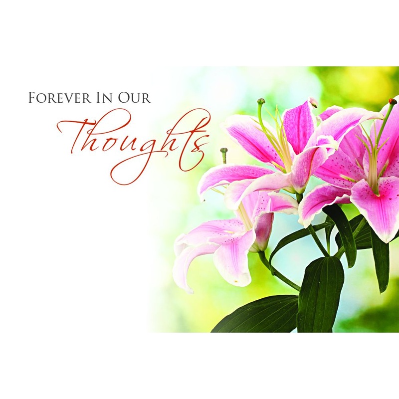 50  Florist Cards – Forever In Our Thoughts – Pink Lily