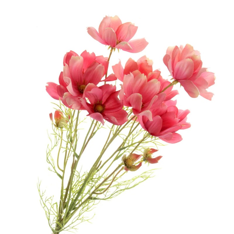 Coreopsis Flower Bundle – 3 stems x 62cm long – Pink