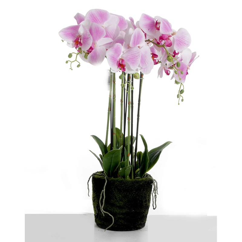 Purple/White Real Touch Potted Orchid Plant in Moss Style Pot x 60cm