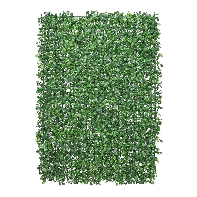 Essential Box Leaf Greenwall 60 x 40cm – Green