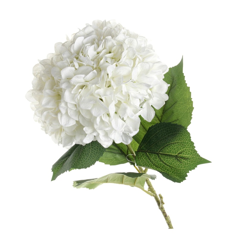 Large 30cm Diameter Single Hydrangea – 106cm Length – White