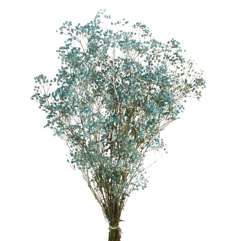 Preserved Gypsophila – Dusky Blue x 60cm long – 100g per pack