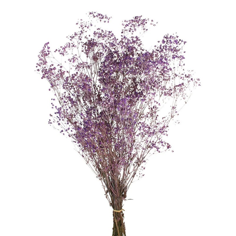 Preserved Gypsophila – Dusky Purple x 60cm long – 100g per pack