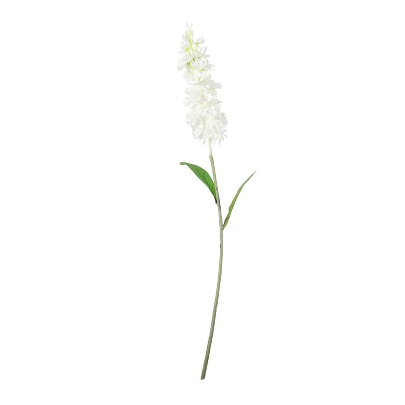 Garden Stock Flower x 25cm – White