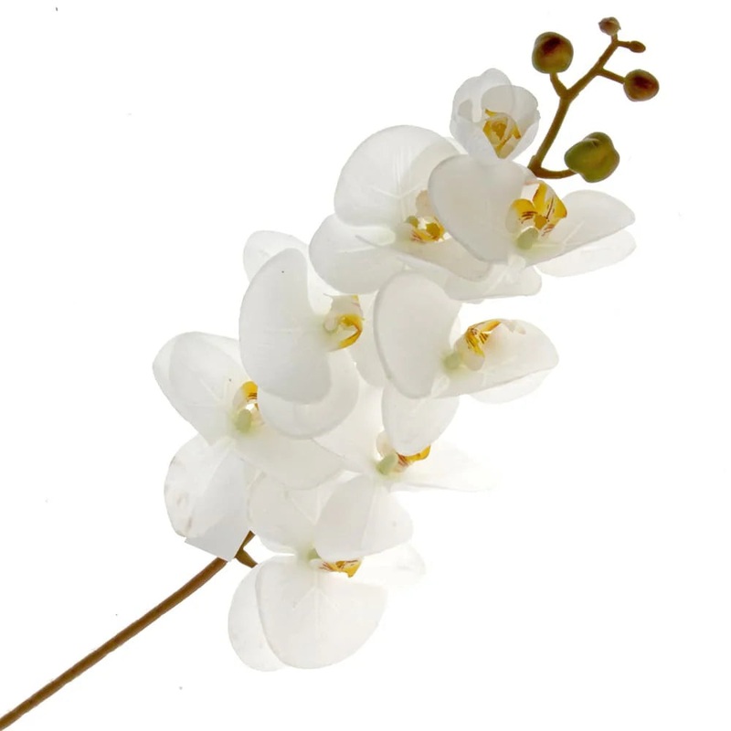 Real Touch Phalaenopsis Orchid – Cream  – 8 heads, 99cm long