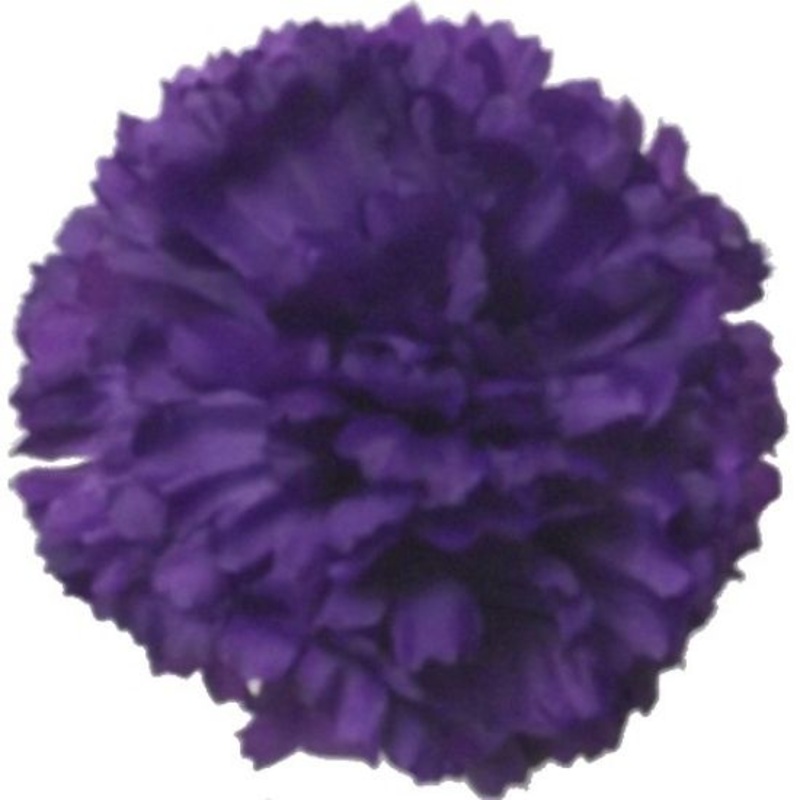 144 Carnation Picks – Purple
