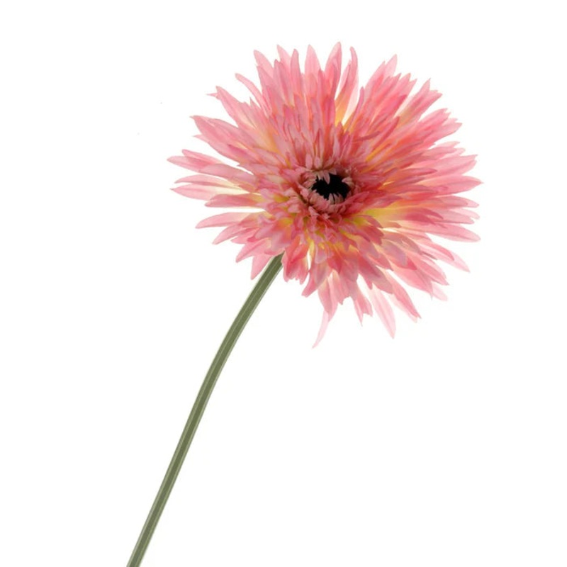 Double Petal Gerbera Flower Stem – Pink x 76cm long