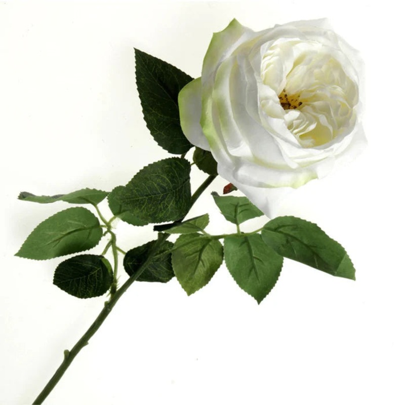 Garden Rose – White x 50cm long
