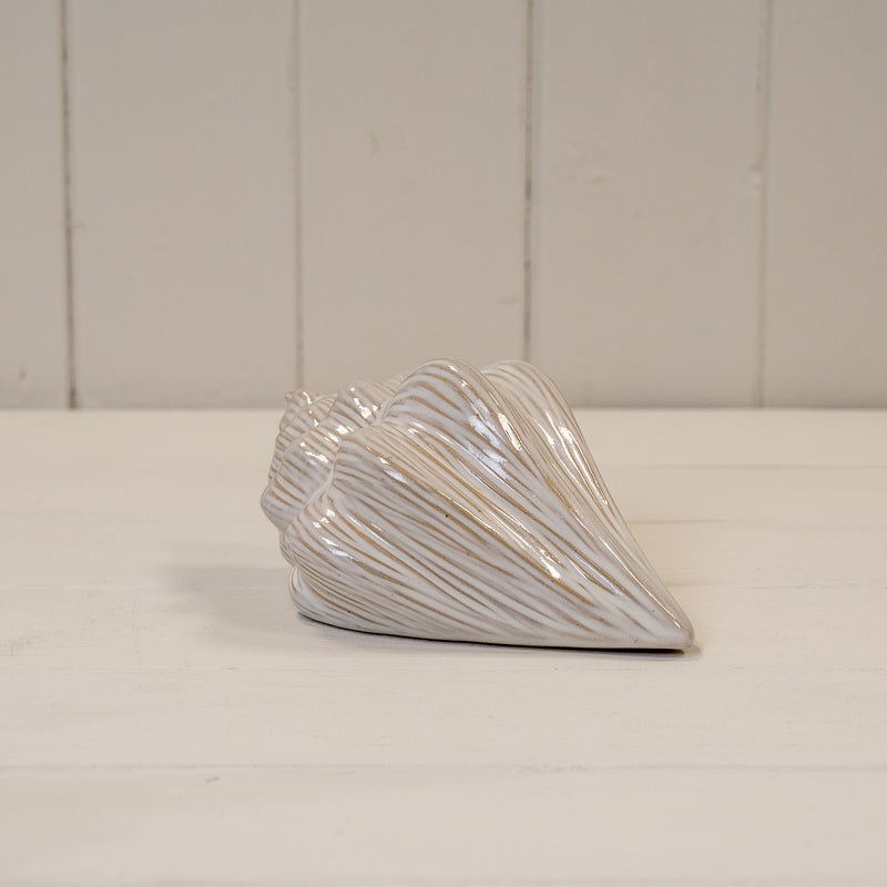 Glazed Ceramic Shell Ornament with Textured Detail – Length 15.5cm