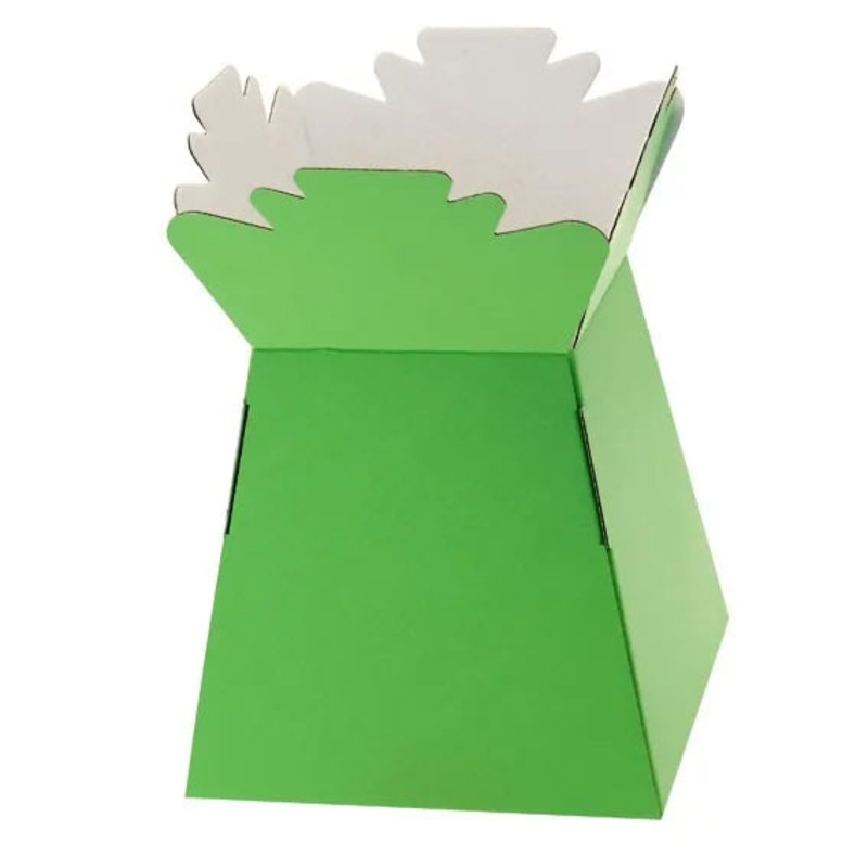 Pack of 30 Living Vases – Lime