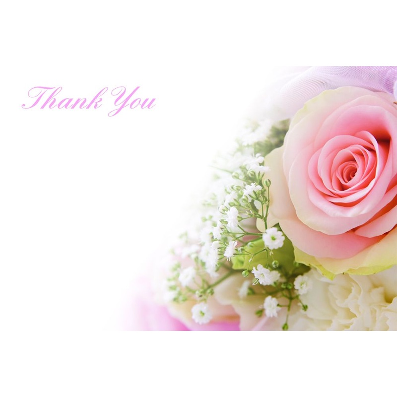 50 Florist Cards – Thank You – Pink Rose