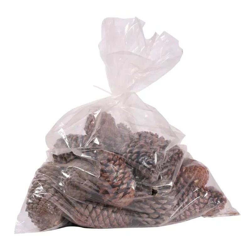 Large Size Maritima Natural Pine Cones – 10-14cm- Pack of 25