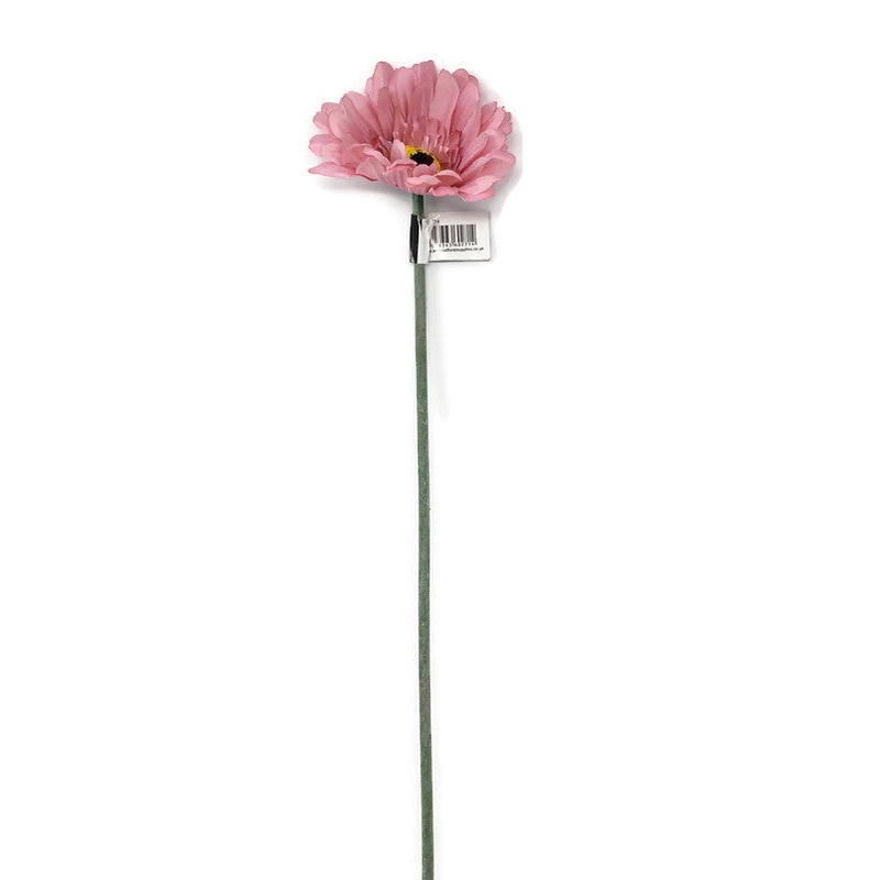 Single Stem Gerbera x 50cm – Pink pos