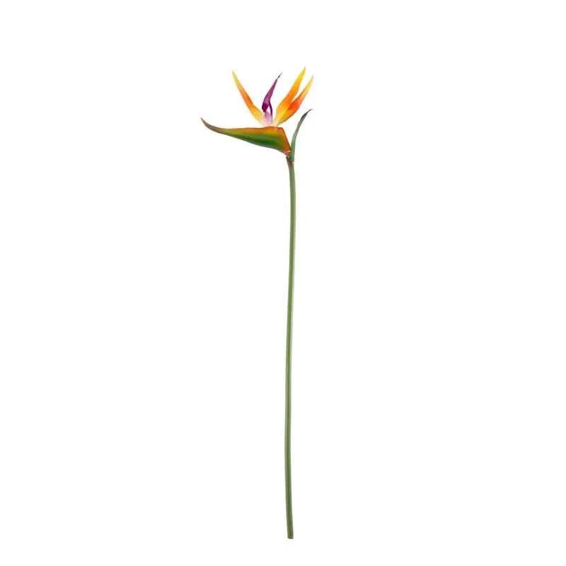 Small Bird of Paradise Stem x 61cm