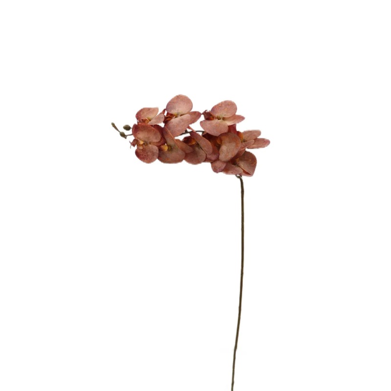 Artificial Phalaenopsis Orchid Spray – Brown – 102cm long with 9 Heads