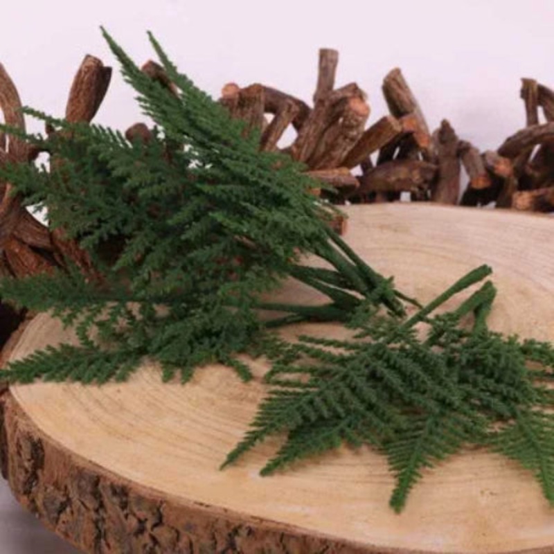 Asparagus Fern – 12 Short Stems Per Bag