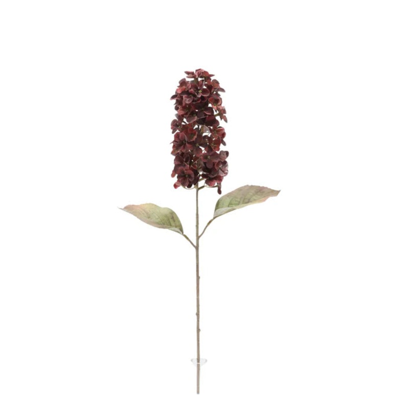 Dry Look Panicled Hydrangea Stem – 68cm long – Burgundy