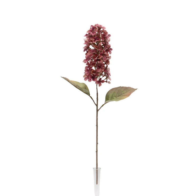 Dry Look Panicled Hydrangea Stem –  68cm long – Pink