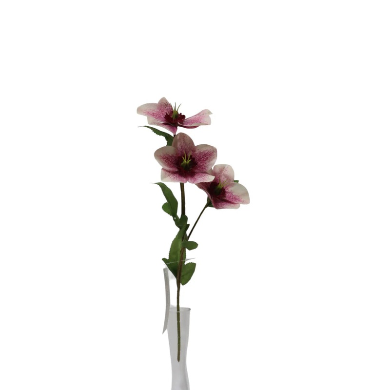 Helleborus Flower Spray – 38cm long with 3 heads –  Pink/White