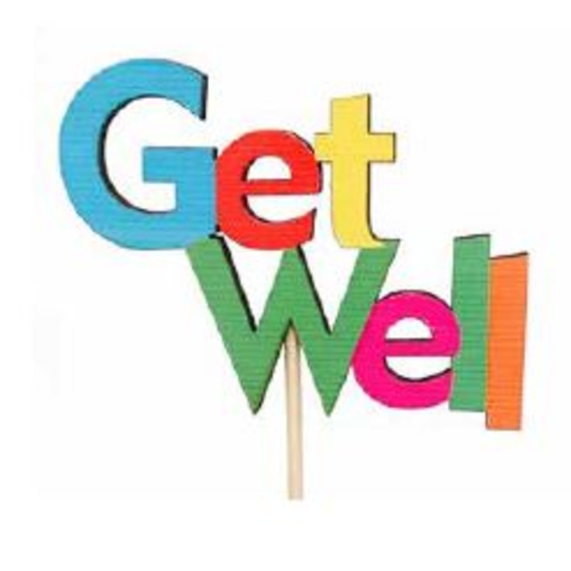 930685MUL Get Well Pick