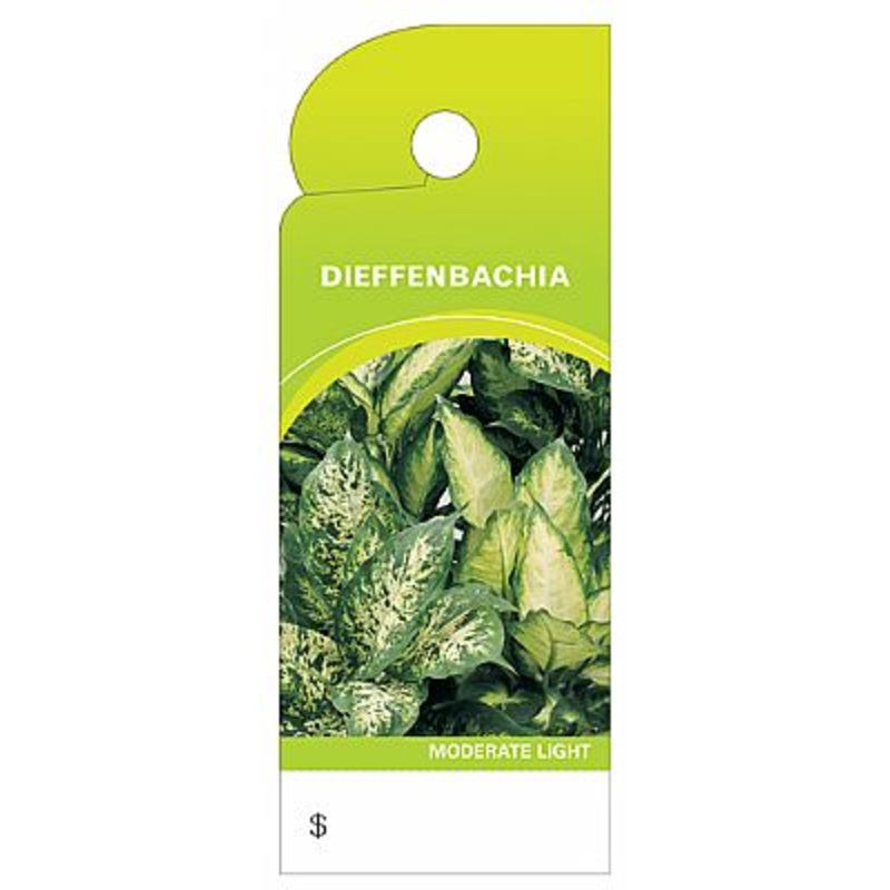 BB4321 Trim Tag – Dieffenbachia – 100/pk