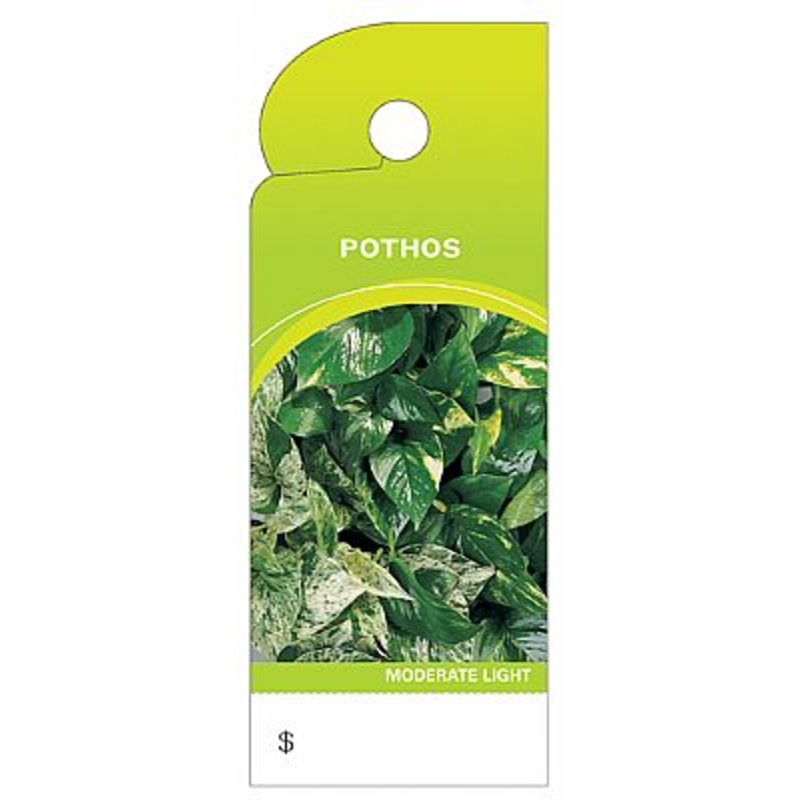 BB4398 Trim Tags – Pothos – 100/pk