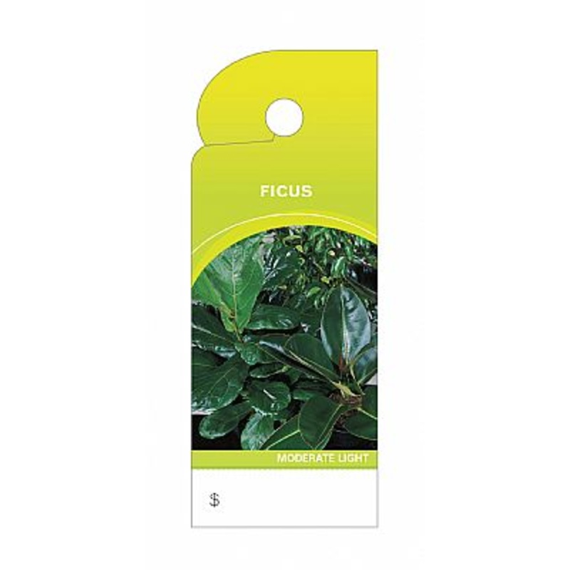 BB4322 Trim Tag – Ficus – 100/pk