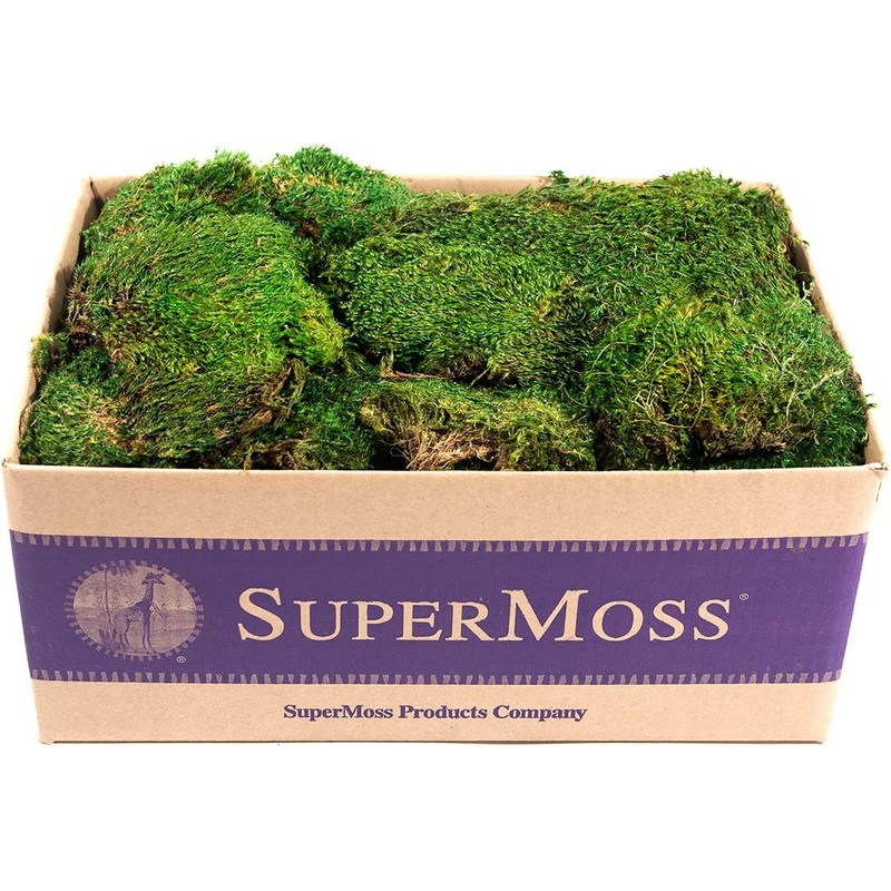 21538 Super Moss Preserved Mood Moss