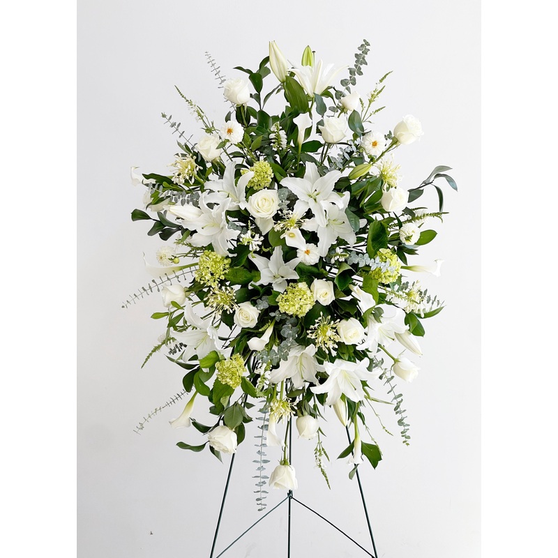 ES-10-standard & premium & deluxe