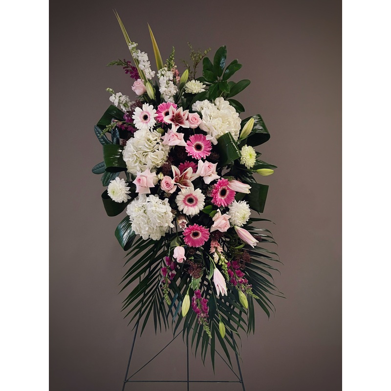 ES-8-standard & premium & luxury